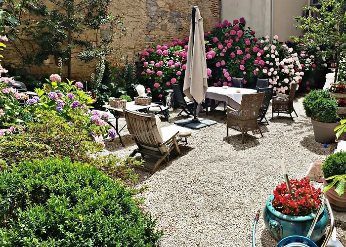 Sublime Volendame * Dijon